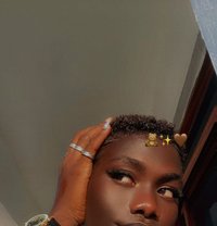 Dashy - Transsexual escort in Nairobi