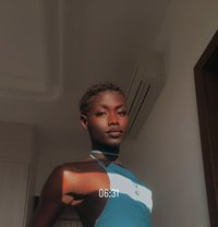 Dashy - Acompañantes transexual in Nairobi