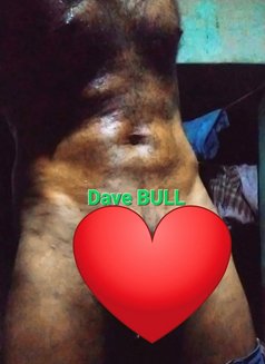 Dave Bull for Horny Ladies - Acompañantes masculino in Colombo Photo 2 of 2