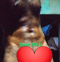 Dave Bull for Horny Ladies - Male escort in Colombo