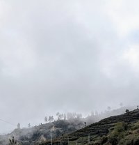 Dave - Male escort in Guwahati