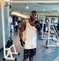 David - Acompañantes masculino in Dubai