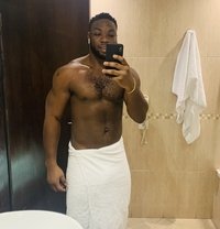 David - Acompañantes masculino in Dubai