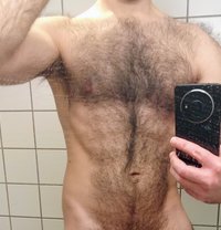 David - Male escort in Odense