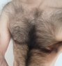 David - Acompañantes masculino in Odense Photo 2 of 2