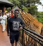 Davie - Male escort in Nairobi Photo 1 of 1
