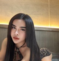 🏝⛰️Daw Big dick can do it all⛰️🏝 - Transsexual escort in Pattaya
