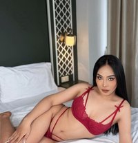 Dealyn Vvip Both Good Service Bigdick 69 - Transsexual escort in Riyadh