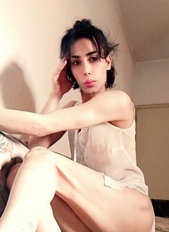 Dee Dee - Transsexual escort in Beirut Photo 1 of 4