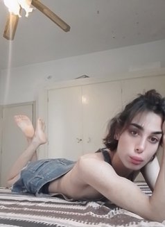 Dee Dee - Transsexual escort in Beirut Photo 2 of 4