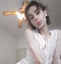 Dee Dee - Transsexual escort in Beirut