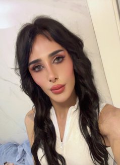 Dee Dee - Transsexual escort in Beirut Photo 13 of 14