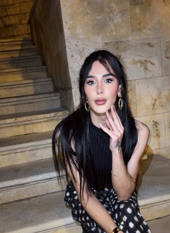 Dee Dee - Transsexual escort in Beirut Photo 14 of 14