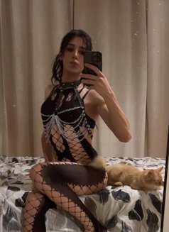 Dee Dee - Acompañantes transexual in Beirut Photo 14 of 14