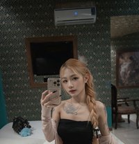 Dee Dy - Transsexual escort in Bangkok