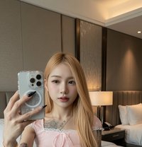 Dee Dy - Transsexual escort in Bangkok