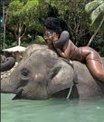 Dee - escort in Phuket Photo 3 of 6