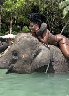 Dee - puta in Phuket Photo 3 of 6