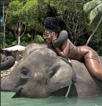 Dee - escort in Phuket