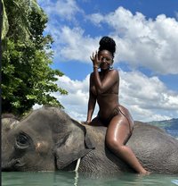 Dee - escort in Phuket