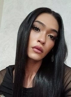 DEEDI Ladyboy - Transsexual escort in Riyadh Photo 11 of 16