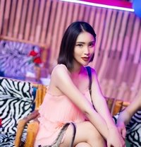 bella new pattaya - Transsexual escort in Pattaya