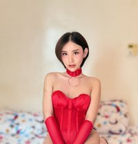 Deemmy 69 - Acompañantes transexual in Dubai Photo 15 of 15