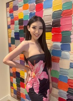 Deemmy come back VIP top&bottom - Transsexual escort in Dubai Photo 19 of 24