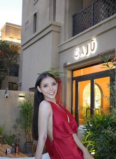 Deemmy come back VIP top&bottom - Transsexual escort in Riyadh Photo 7 of 14
