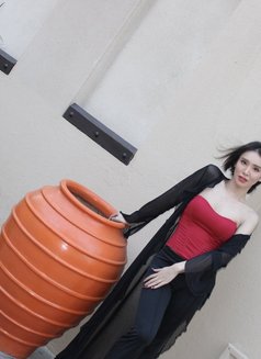 Deemmy Top VIP New here - Transsexual escort in Dubai Photo 14 of 17