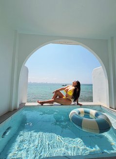 Deep throat,Swallow, Rimmig,Tits fuck - escort in Bangkok Photo 27 of 29