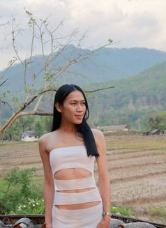 Deer69 - Transsexual escort in Pattaya Photo 7 of 8
