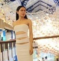 Deer69 - Acompañantes transexual in Pattaya