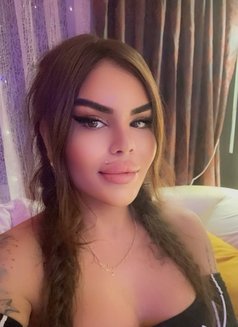 DEFNE Bal (20 cm XL) - Transsexual escort in İstanbul Photo 19 of 22