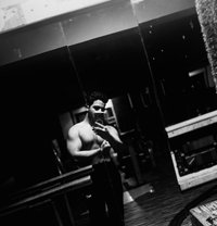 Delhi Bull Ronnie - Male companion in New Delhi