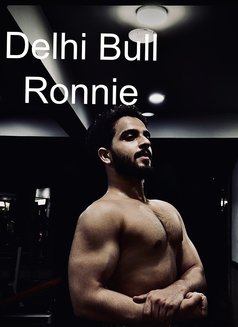 Delhi Bull Ronnie - Male companion in New Delhi Photo 2 of 11