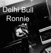 Delhi Bull Ronnie - Male companion in New Delhi