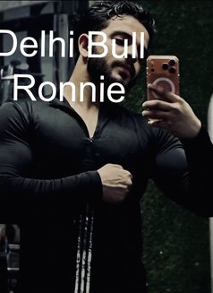 Delhi Bull Ronnie - Male companion in New Delhi Photo 6 of 11