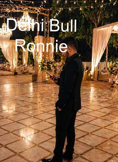 Delhi Bull Ronnie - Male companion in New Delhi Photo 10 of 11