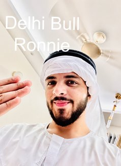 Delhi Bull Ronnie - Male companion in New Delhi Photo 11 of 11