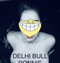 Delhi Bull Ronnie - Male companion in New Delhi