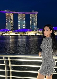 Delicious Bigdick just Arrived - Transsexual escort in Kuala Lumpur Photo 18 of 19