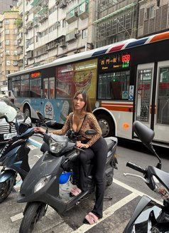 Delicious Shania🇦🇺 7 days left - escort in Seoul Photo 30 of 30