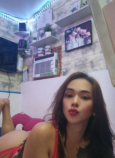 Deliciousness - Transsexual escort in Cebu City Photo 15 of 16