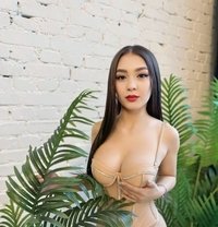 Delight Muse - Diana - escort in London