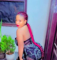 Delila - puta in Dehradun, Uttarakhand Photo 1 of 1