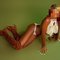 Dely the Erotic Girlfriend - escort in Nairobi Photo 4 of 5