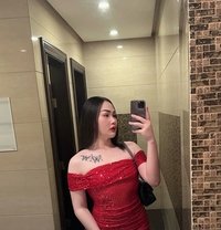 Lilly ladyboy Thailand - Transsexual escort in Riyadh