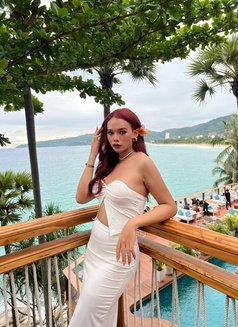 Demi Top and Bottom Ladyboy Patong - Transsexual escort in Pattaya Photo 10 of 10