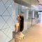 Demonlord Tasha - Transsexual escort in Cebu City